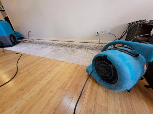 Professional Water Removal technician working in Coal Creek, CO